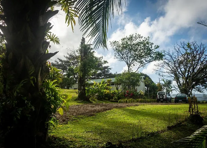 Vista Arenal