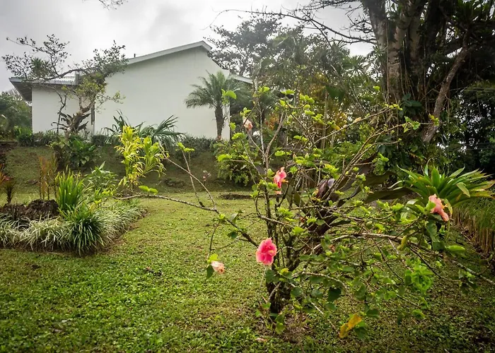 Vista Arenal Piedras