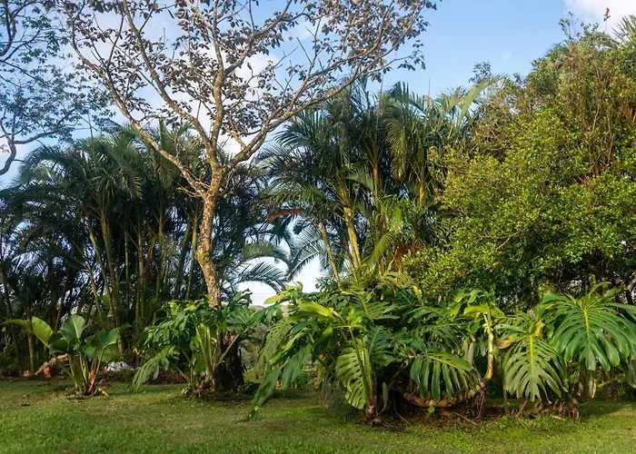 Vista Arenal